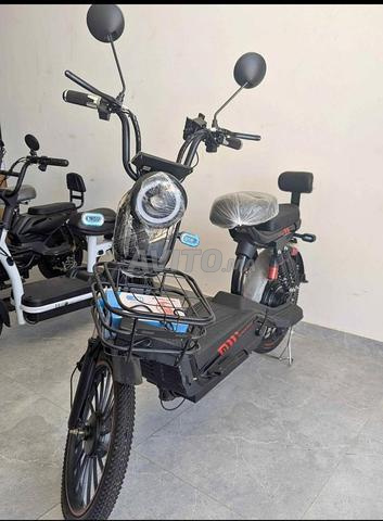 Scooter Électrique ZI YOU FENG (800W – 48V)✅ - 2