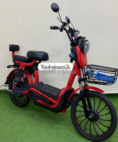 Scooter Électrique ZI YOU FENG (800W – 48V) - 2