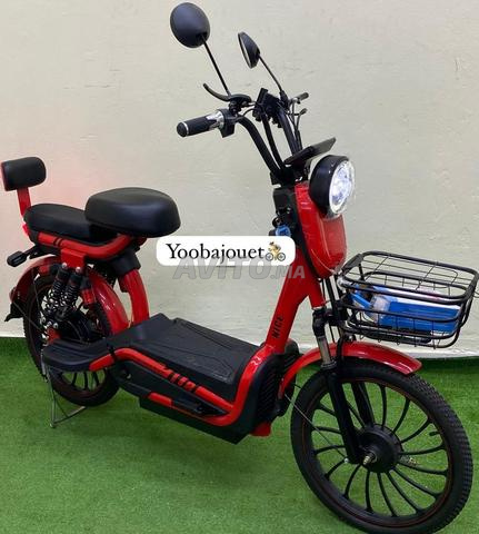 Scooter Électrique ZI YOU FENG (800W – 48V) - 2