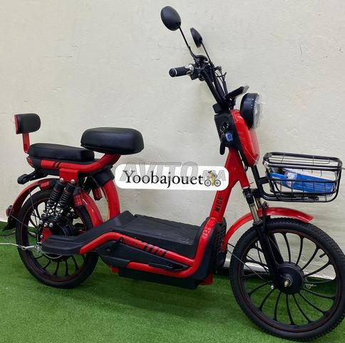 Scooter Électrique ZI YOU FENG (800W – 48V) - 2