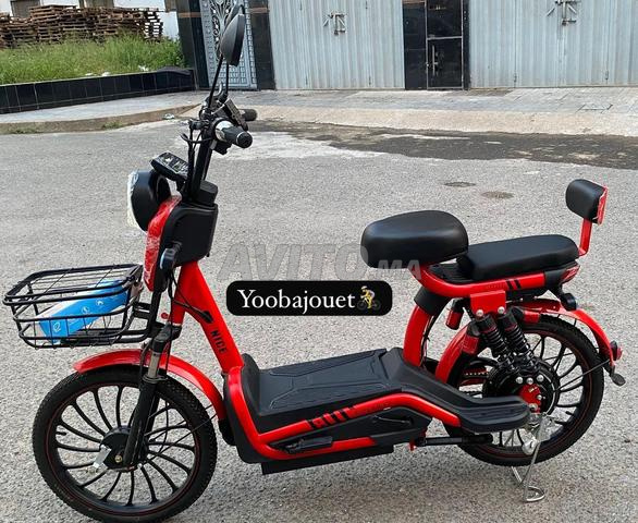 Scooter Électrique ZI YOU FENG (800W – 48V) - 2