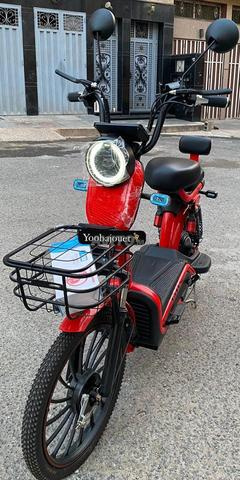 Scooter Électrique ZI YOU FENG (800W – 48V)