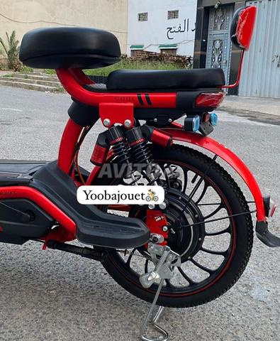 Scooter Électrique ZI YOU FENG (800W – 48V) - 2