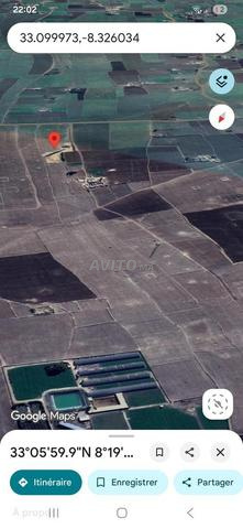 أرض فلاحية للبيع - 2