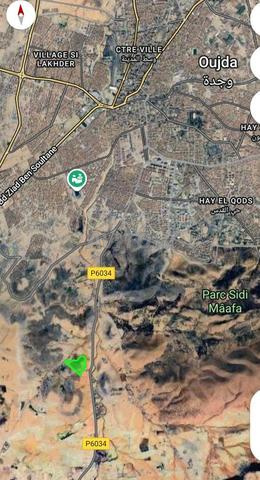 أرض فلاحية للبيع أنكاد - 2