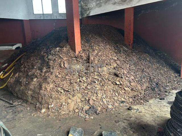 Viteurs d'olives à vendre