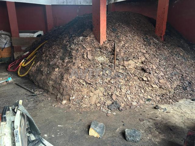 فيتور زيتون للبيع - 2