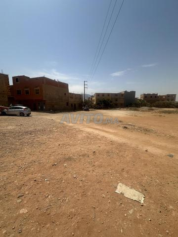 Terrain titré à vendre – 8502 m² – Hamdoui - 2