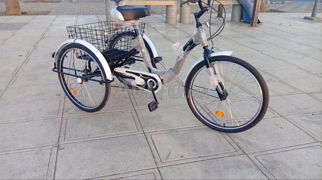 Tricycle électrique