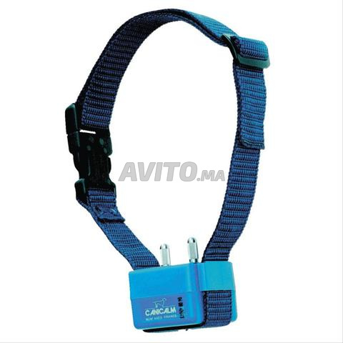 طوق نباح للكلاب - 2