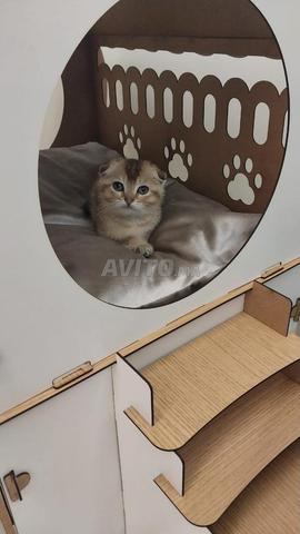 Bni Makada près du marché de proximité et des terrains de proximité