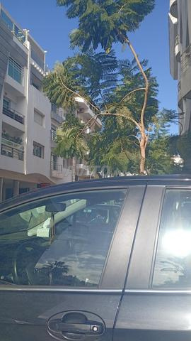 Appartement à louer - 2