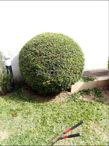 بستاني وخدمات الحدائق - 2