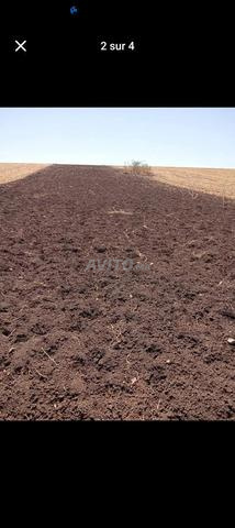 Terrain à vendre - 2