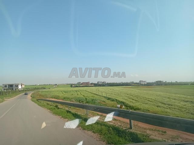 استثمار آمن أرض فلاحية - 2