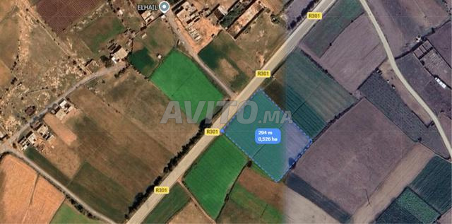 Terrain agricole à vendre Oualidia