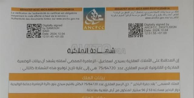 Terrain agricole à vendre Oualidia - 2