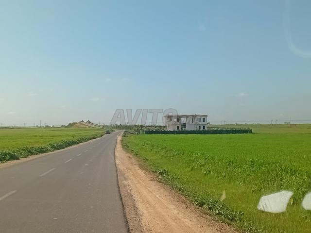 أرض فلاحية مسجلة 5300 م². - 2