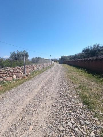 أرض محفظة بمنزل للبيع - 2