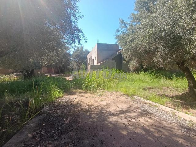 أعرض للبيع أرض مع منزل شبه مكتمل - 2