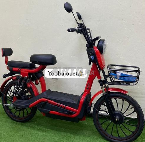 سكوتر قوي 800 واط 🚀 توصيل مجاني - 2