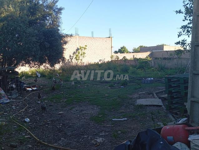 الجديدة، الحي الصناعي - 2