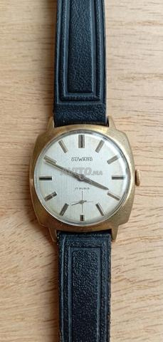 دوارد سويسري نادر