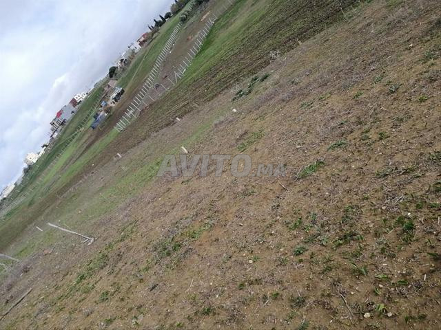 قطعة أرضية للبيع 60 متر ملكية - 2