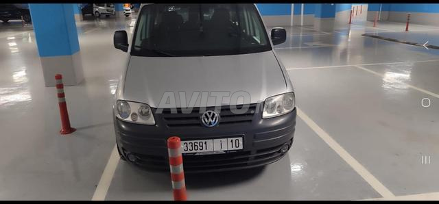 كادي 2010 ديوانة 2012 - 2