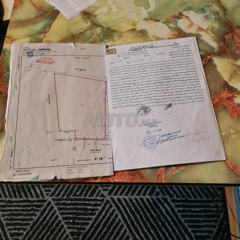 أرض مثالية قريبة من شاطئ السعيدية بـ 400 متر