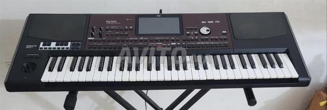 Korg Pa 700 Oriental - 2
