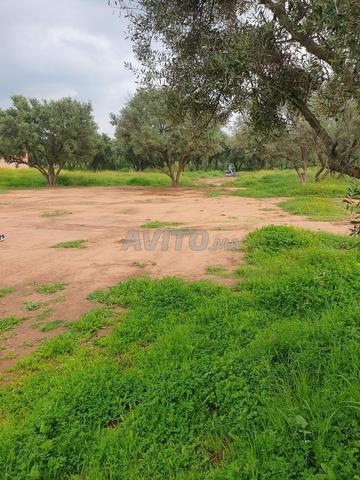 بقعة للبيع - 2