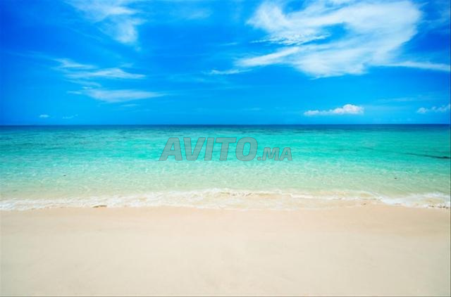 Terrain pieds dans l'eau