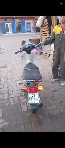 مراكش الدوديات