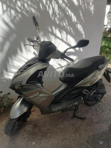 سكوتر Italika Tiger، شيء نقي، كل شيء جديد - 2