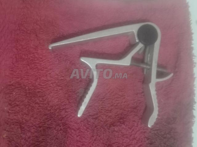 قطعتان، من يريدهما فمرحباً به