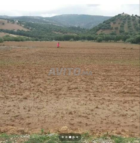 فرصة لا تعوض – أرض للبيع - 2