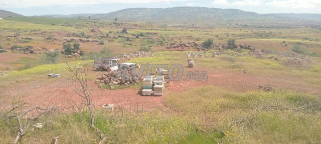 قطعة أرضية بمساحة 1000 متر للبيع. - 2