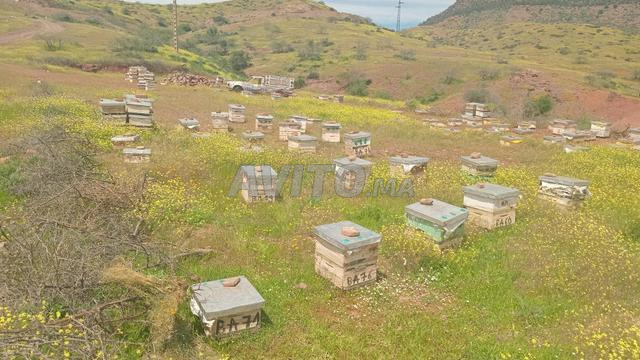 قطعة أرضية للبيع