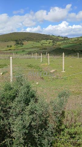 أرض فلاحية بمساحة 1600 متر مربع