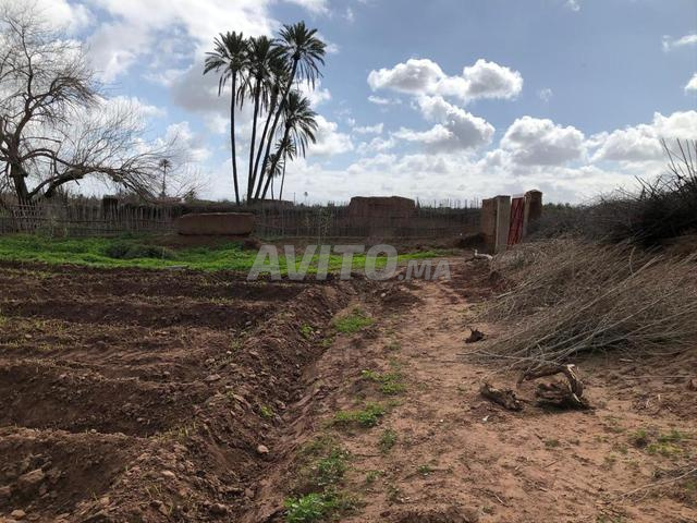 Terrain titré 1,3 ha près de Marrakech