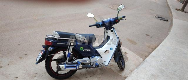 هايلاندز 2021