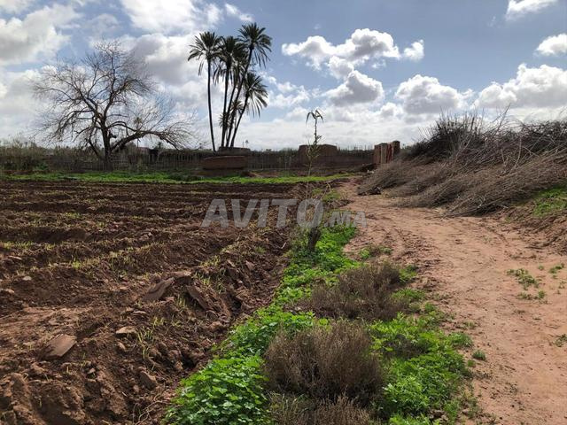 Terrain titré 1,3 ha près de Marrakech