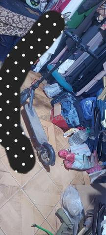 تروتينت رائعة - 2