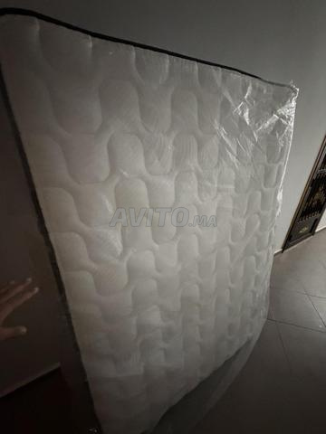 مرتبة سيمونز دورسبيديك، كامة، 2 كوكيتا - 2