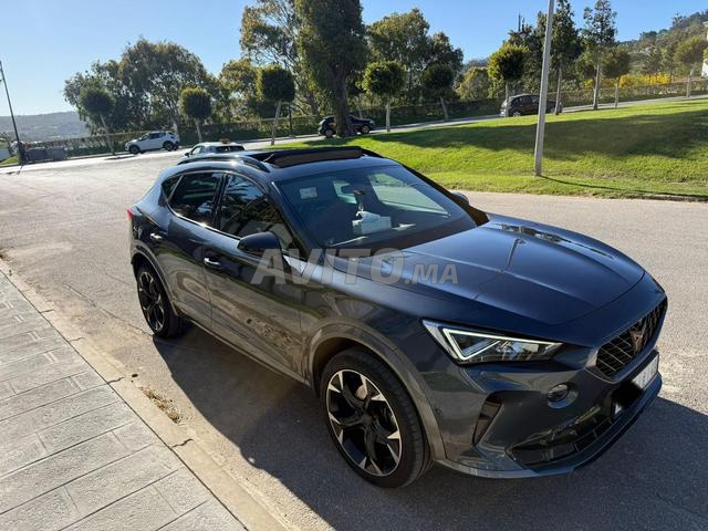 كوبرا فورمنتور، مالك أول، 2023 - 2