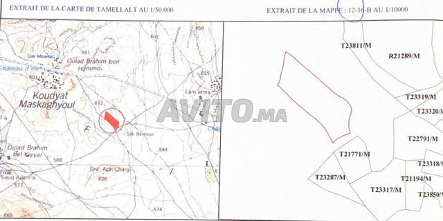 Terrain sur le goudron - 2