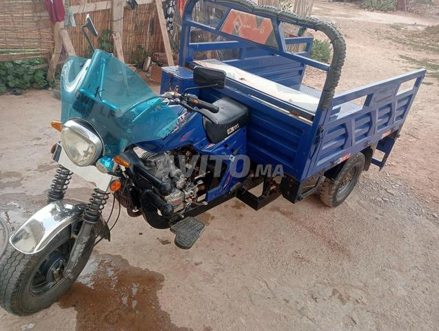 GT LF Le grand mur - 2