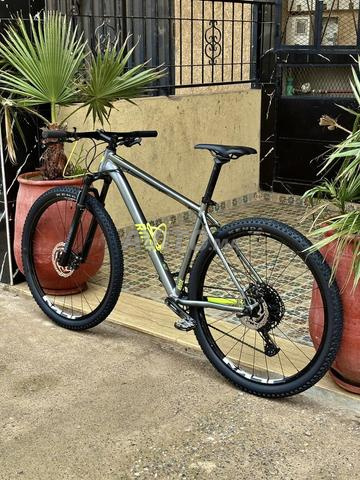 VTT 29 Rose Count Solo2 - 2