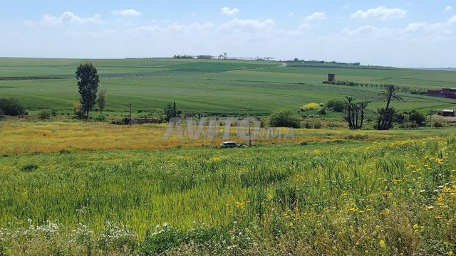 Terrains titrés à bâtir avec vue sur la mer de Sidi Rahal - 2